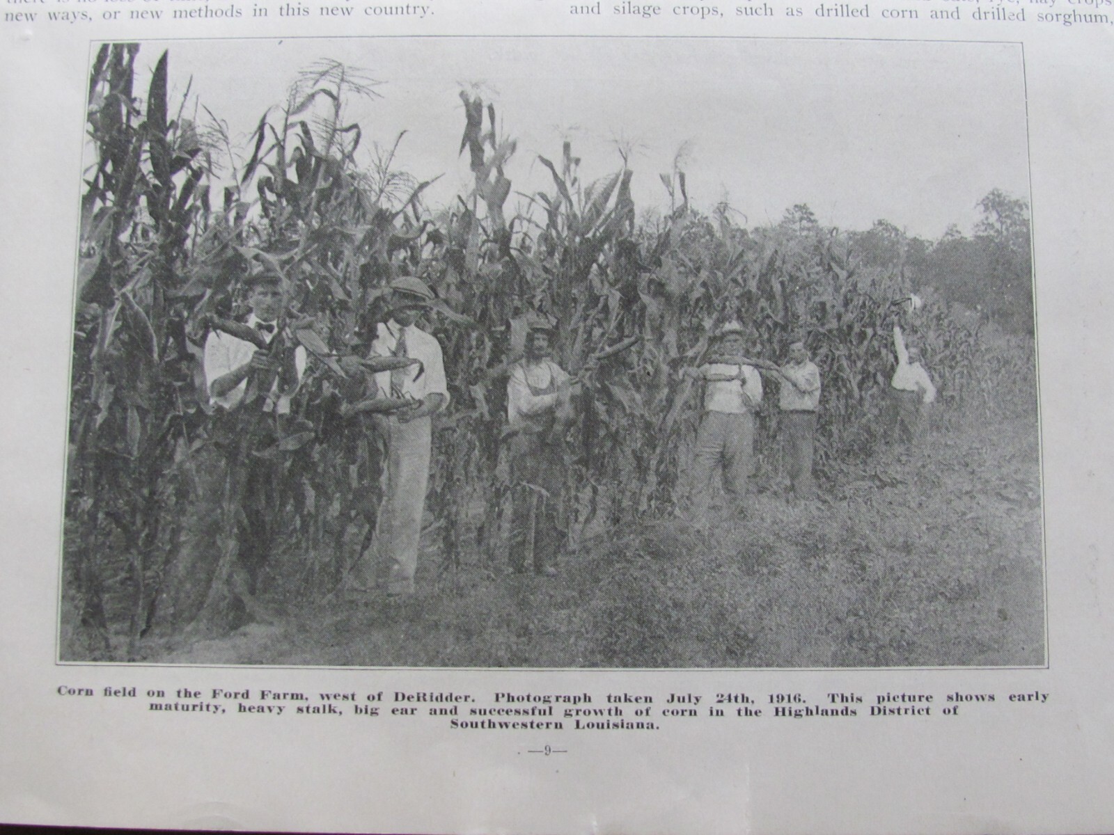 1910&rsquo;S SALE BROCHURE HIGHLANDS LOUISIANA LAND BY LONG BELL FARM LAND CORP