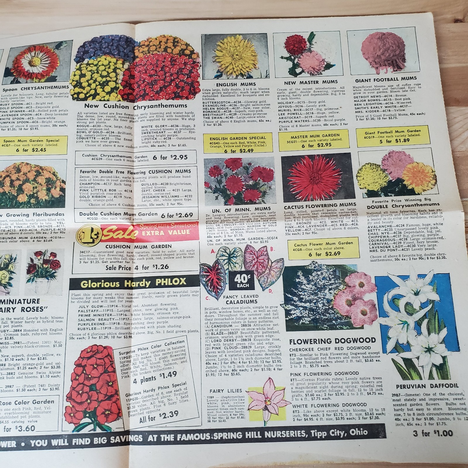 VTG spring 1958 Spring Hill Nurseries catalog; Tipp City, OH 109th Anniversary
