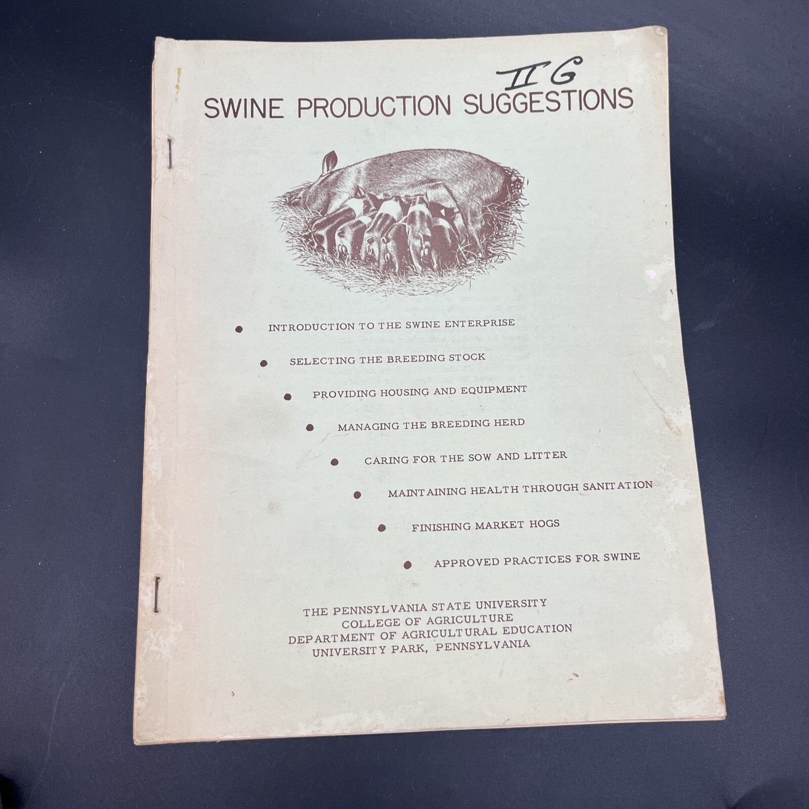 Vtg 1950s Swine PRODUCTION Suggestions BULLETIN PIG HOG BOOK FARM PA State Un B9