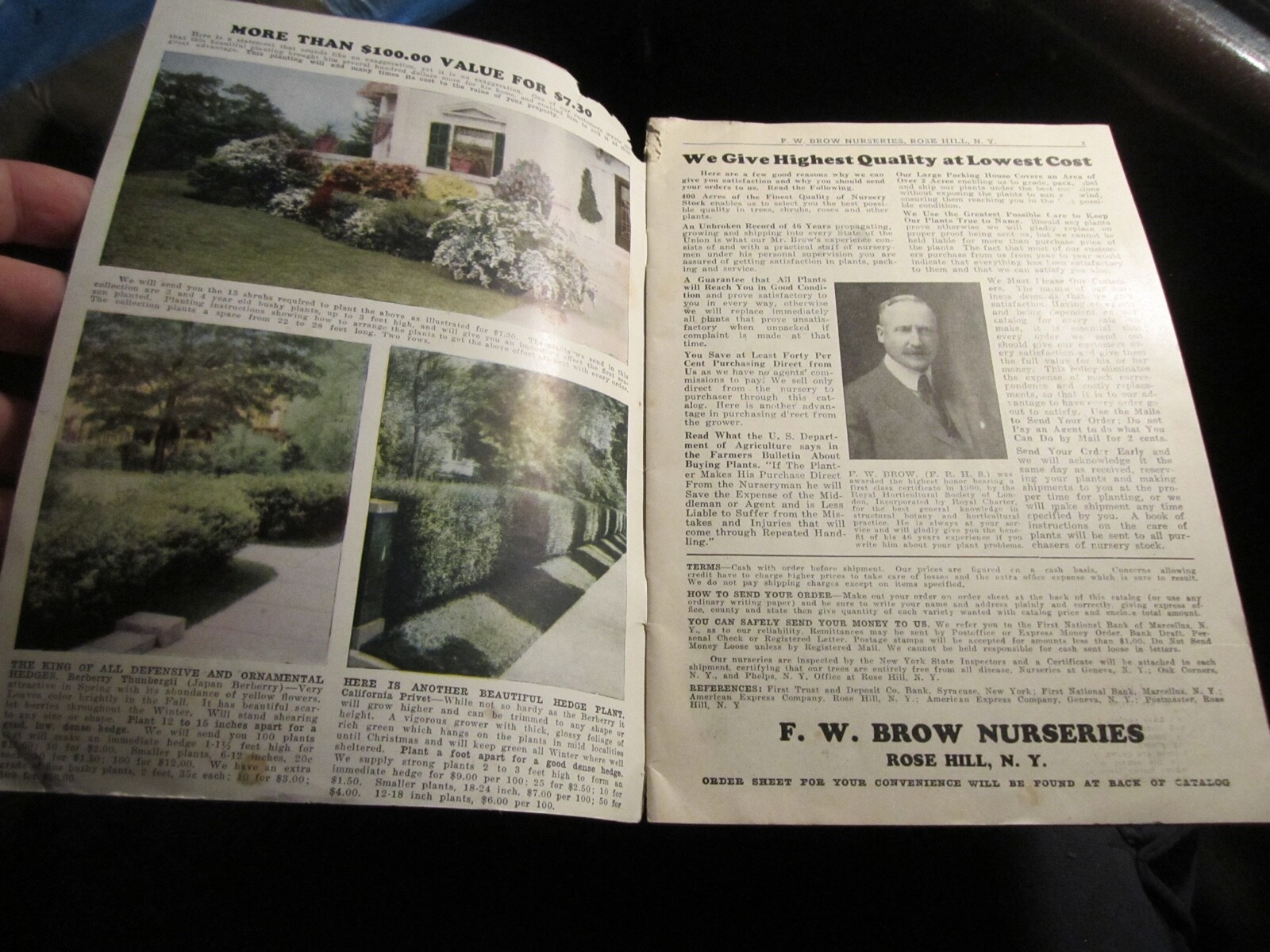 VINTAGE F. W. BROW NURSERIES FLOWER AND FRUIT CATALOG – BBA-45