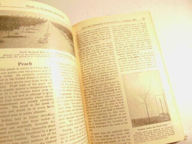 vintage 1938 Stark Bros. Guide to Profitable Orcharding; (Louisiana, MO)