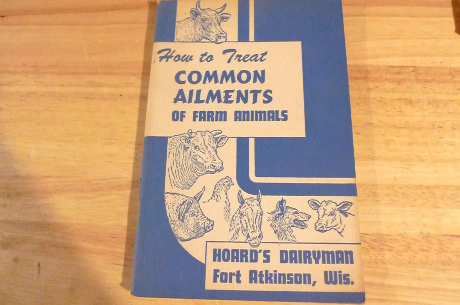 1954 Hoard&rsquo;s Dairymen How to Treat Common Ailments of Farm Animals