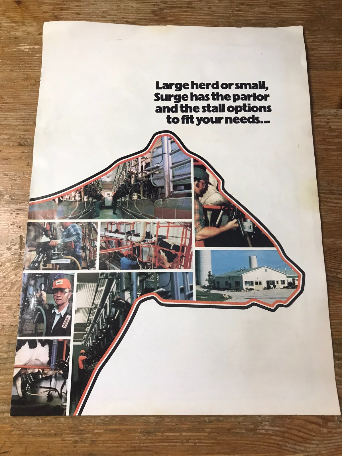 Vintage Surge Advertising Brochure Farm Equipment Dairy Cows Milking Farming