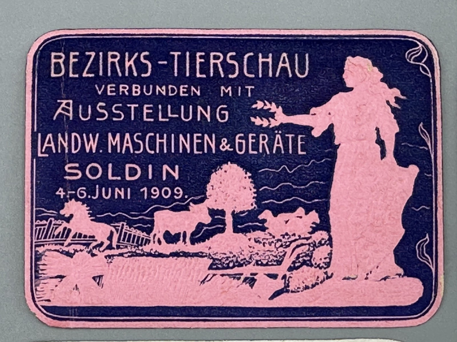 1909 SOLDIN Germany FARM EXPO Agricultural ANIMAL Advertising POSTER STAMP