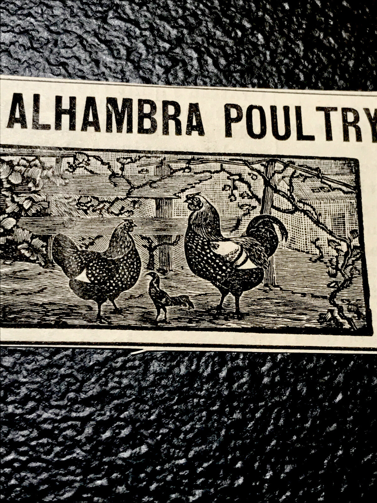 1886 Alhambra Poultry Yards Chicken Farm Advertising – Martinez – California