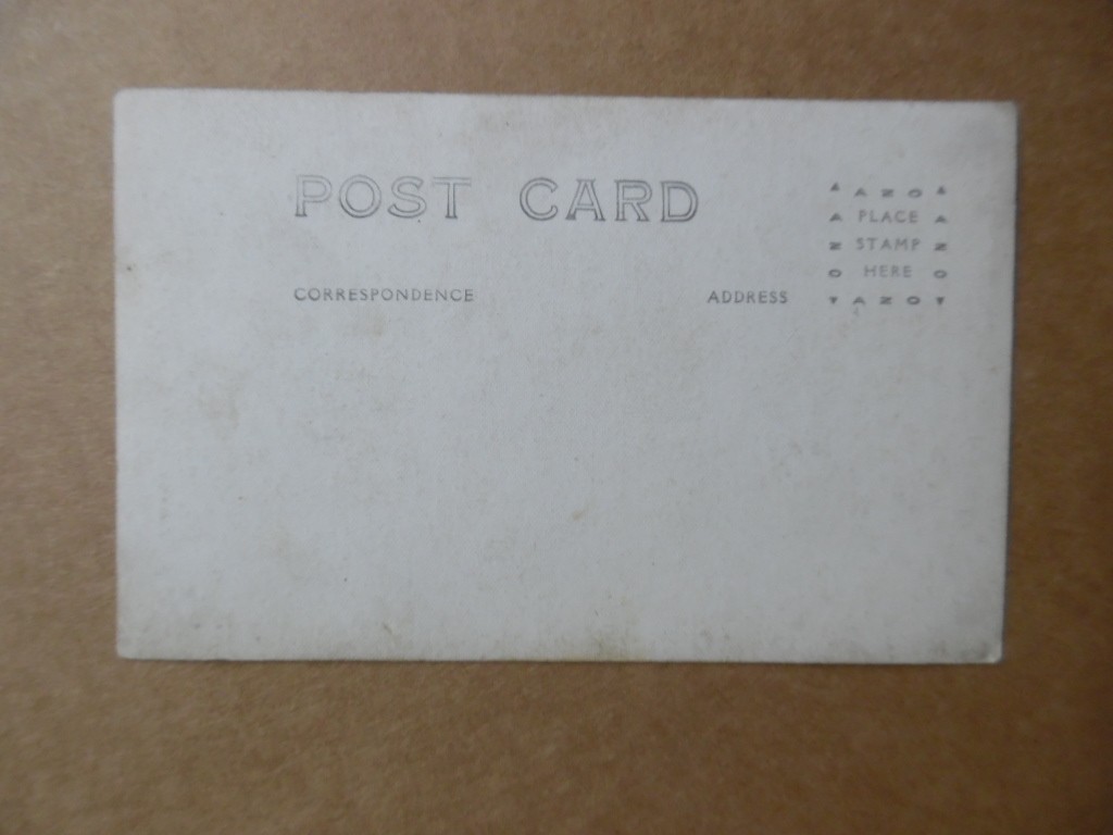 1920 Alfalfa Farm Land Promo Promoter Real Photo Postcard Scott County Kansas