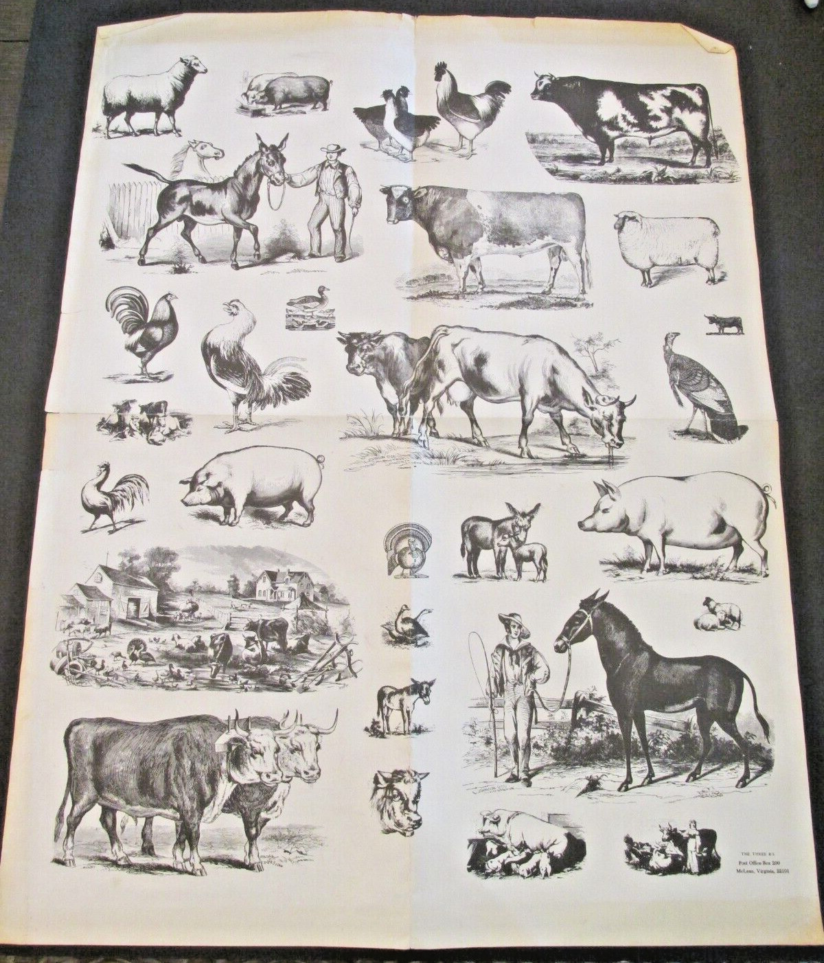 VTG The Three B&rsquo;s Farm Animals Poster Rooster Donkey Horse Pigs Homestead 19×25