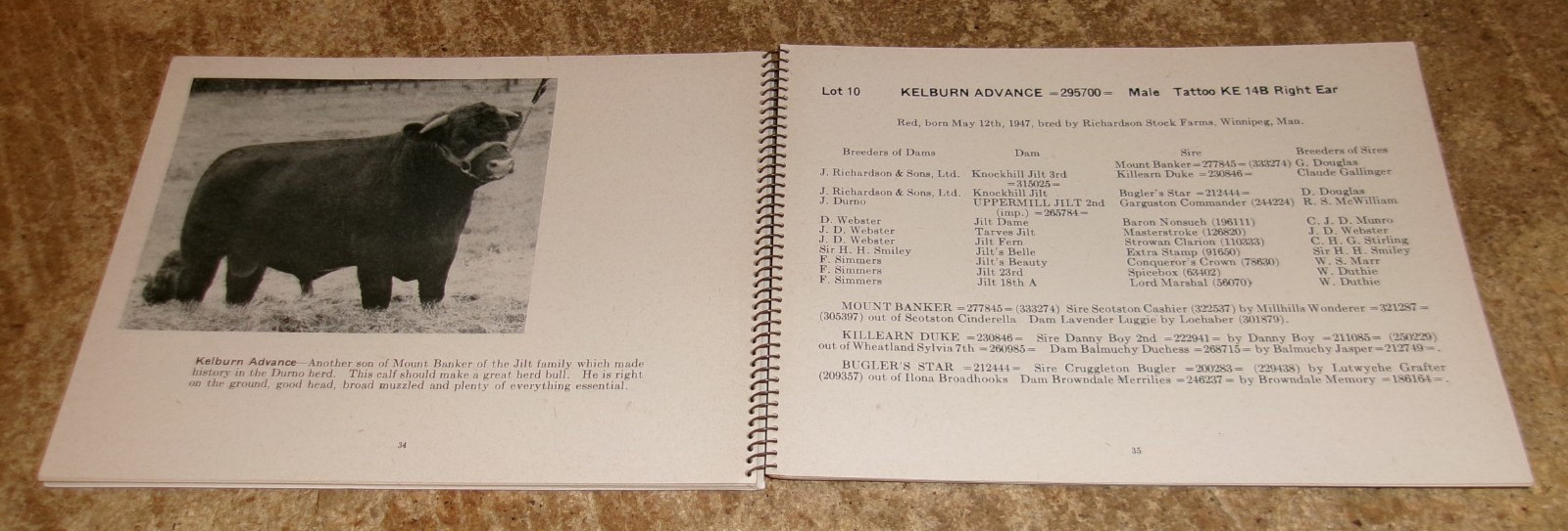 1948 bankers kelburn farm st. norbert, manitoba ca. shorthorn sales booklet used