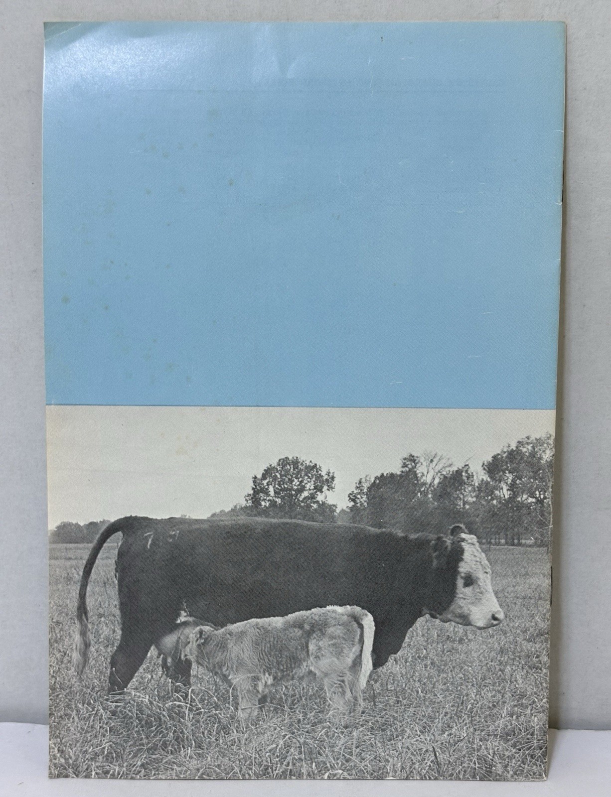 Vintage 1973 Cattle Booklet CALF COMPARIONS by CHAROLAIS & HEREFORD BULLS