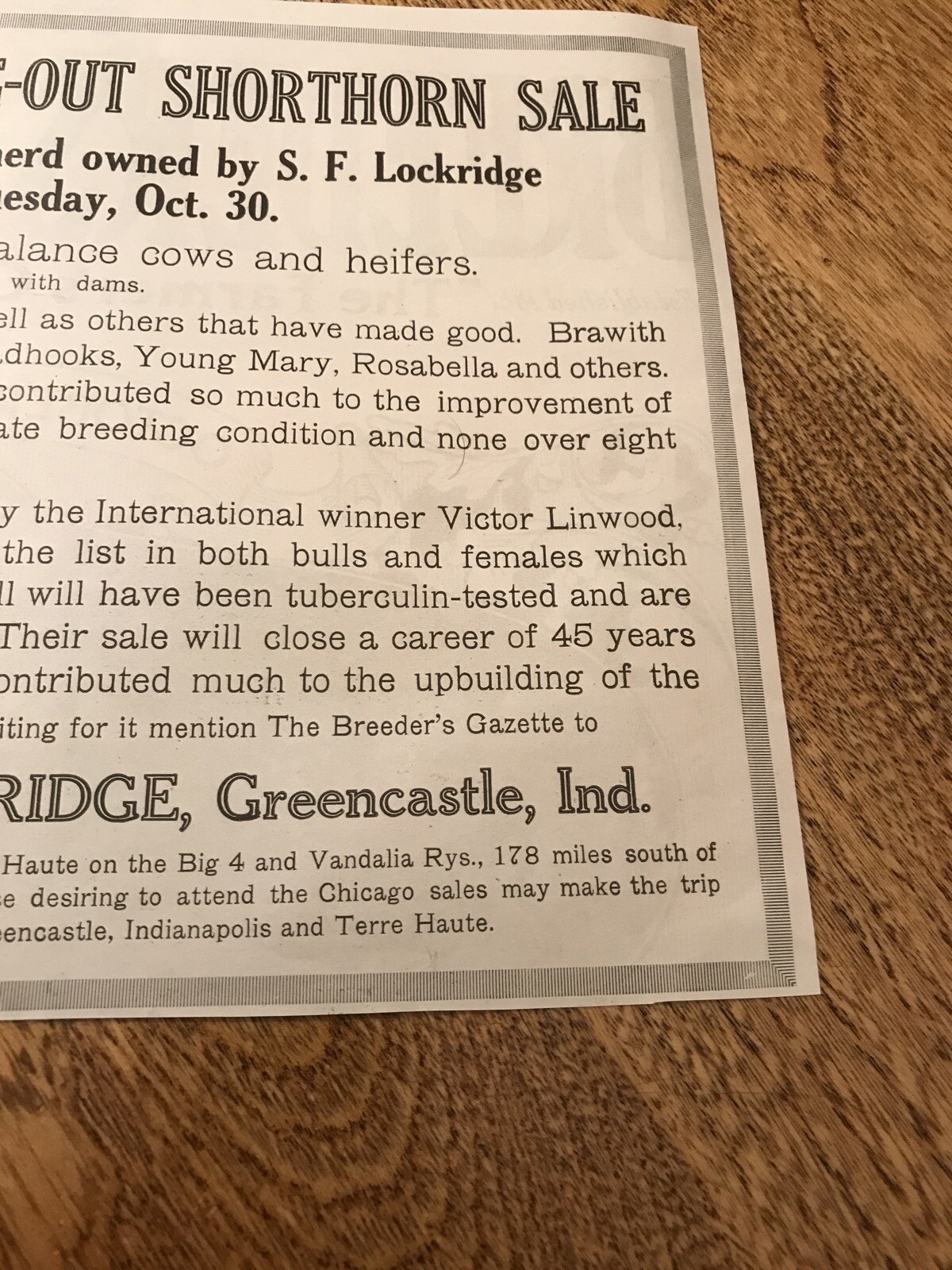 1917 Cattle Livestock Public Sale Cow – Greencastle – Indiana – Farm Advertising