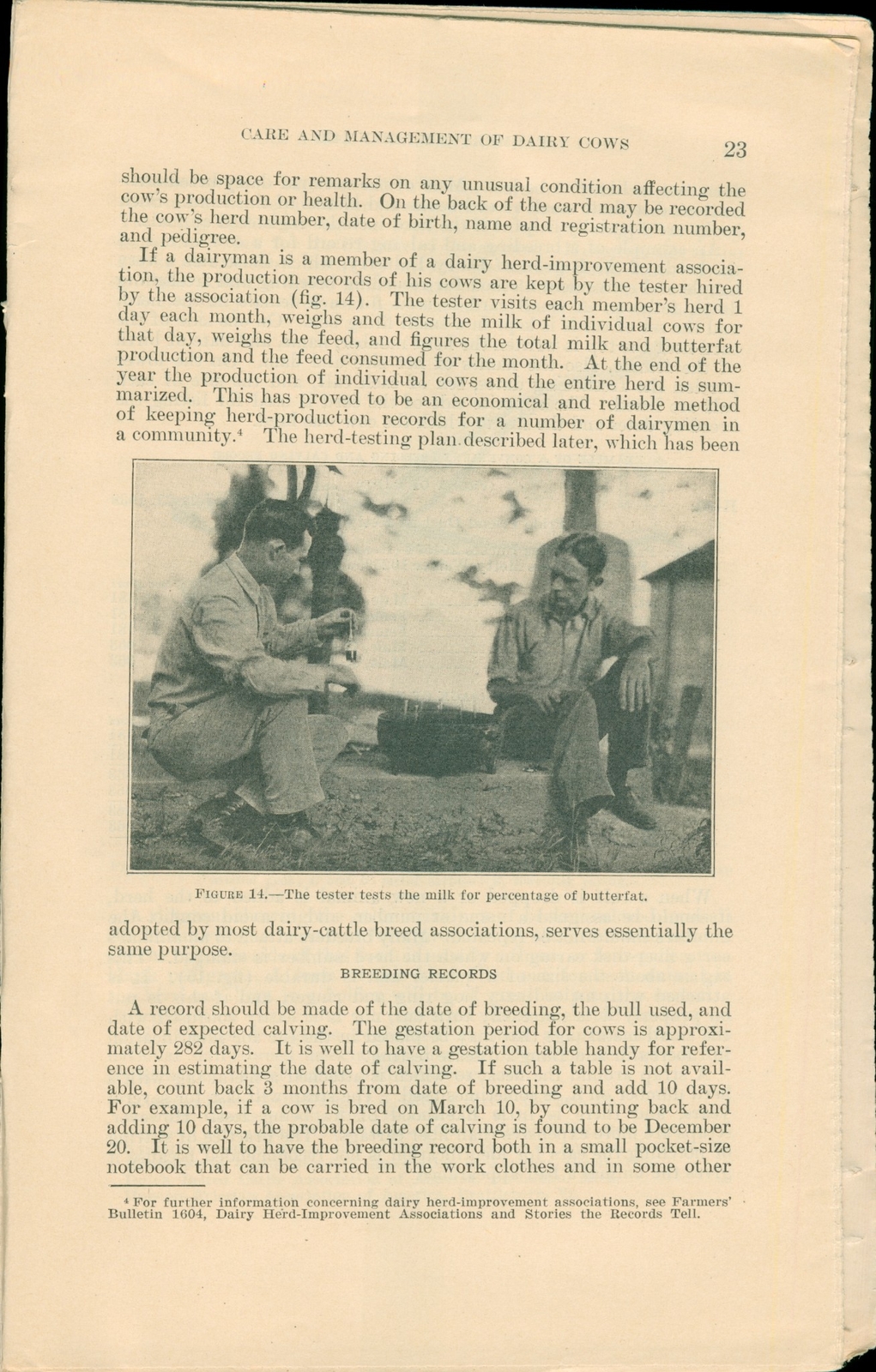 1938 US Department Agriculture Dairy Cow Care & Management Bulletin Farm Photos