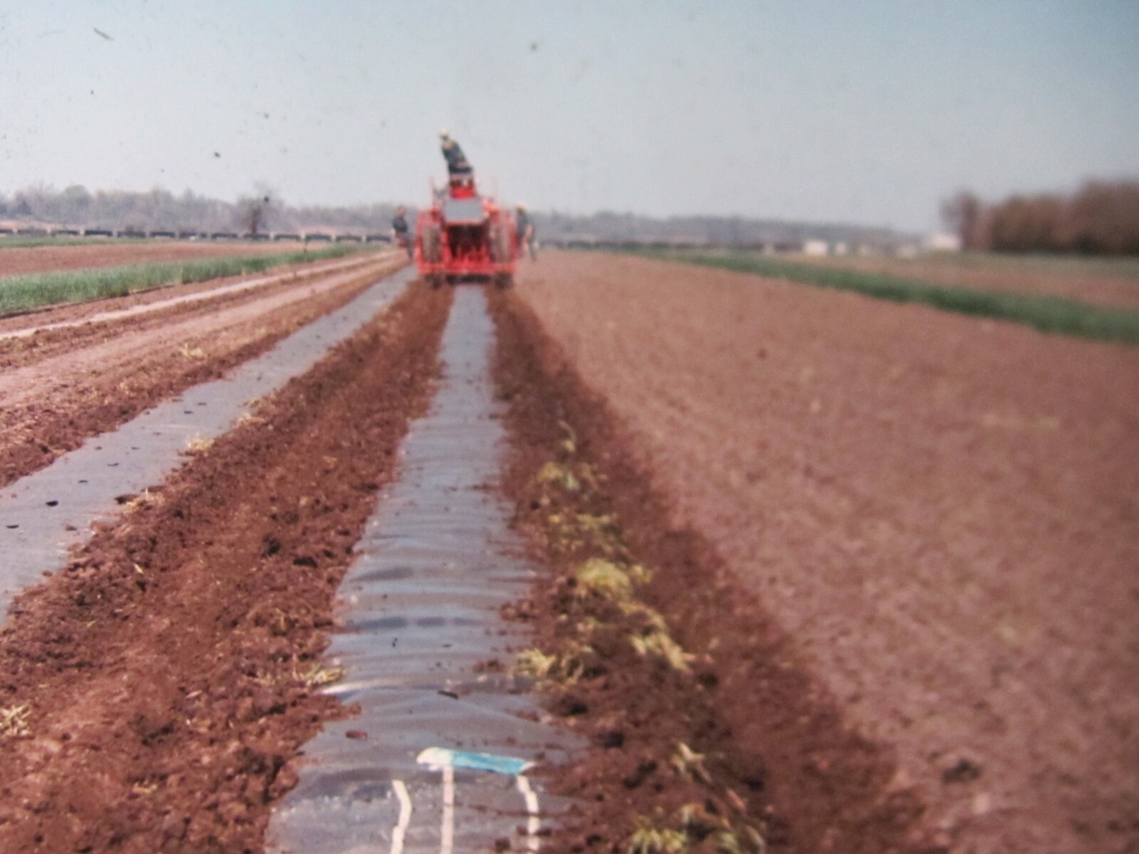 6 PHOTO SLIDES FARM VEGETABLE CROPS MACHINE CELLUPONIC SYSTEM MULCHING 1970&rsquo;S
