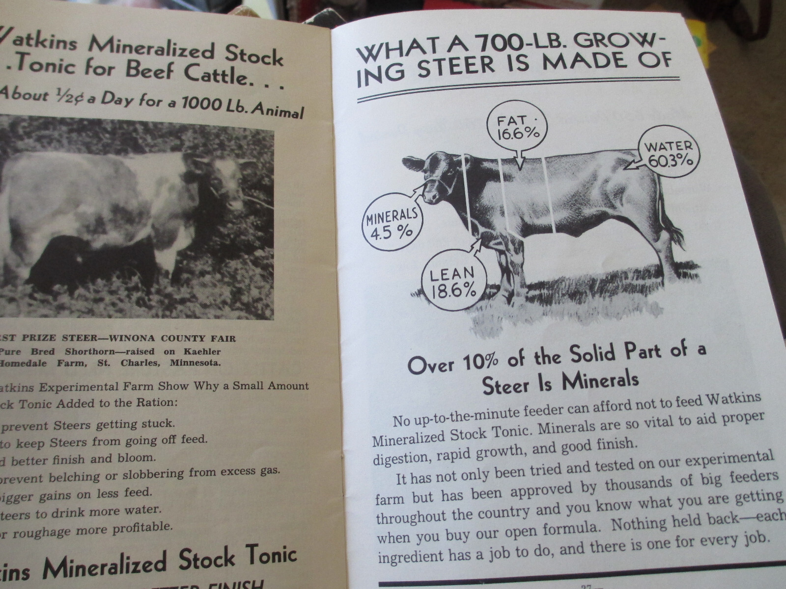 1930&rsquo;S J.R. WATKINS DEPENDABLE STOCK & POULTRY PREPARATIONS BOOKLET GUIDE FARM