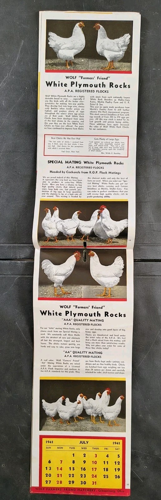 1941 Wolf Baby Chicks Catalog Calendar Sale Brochure Chicken Farming Advertising