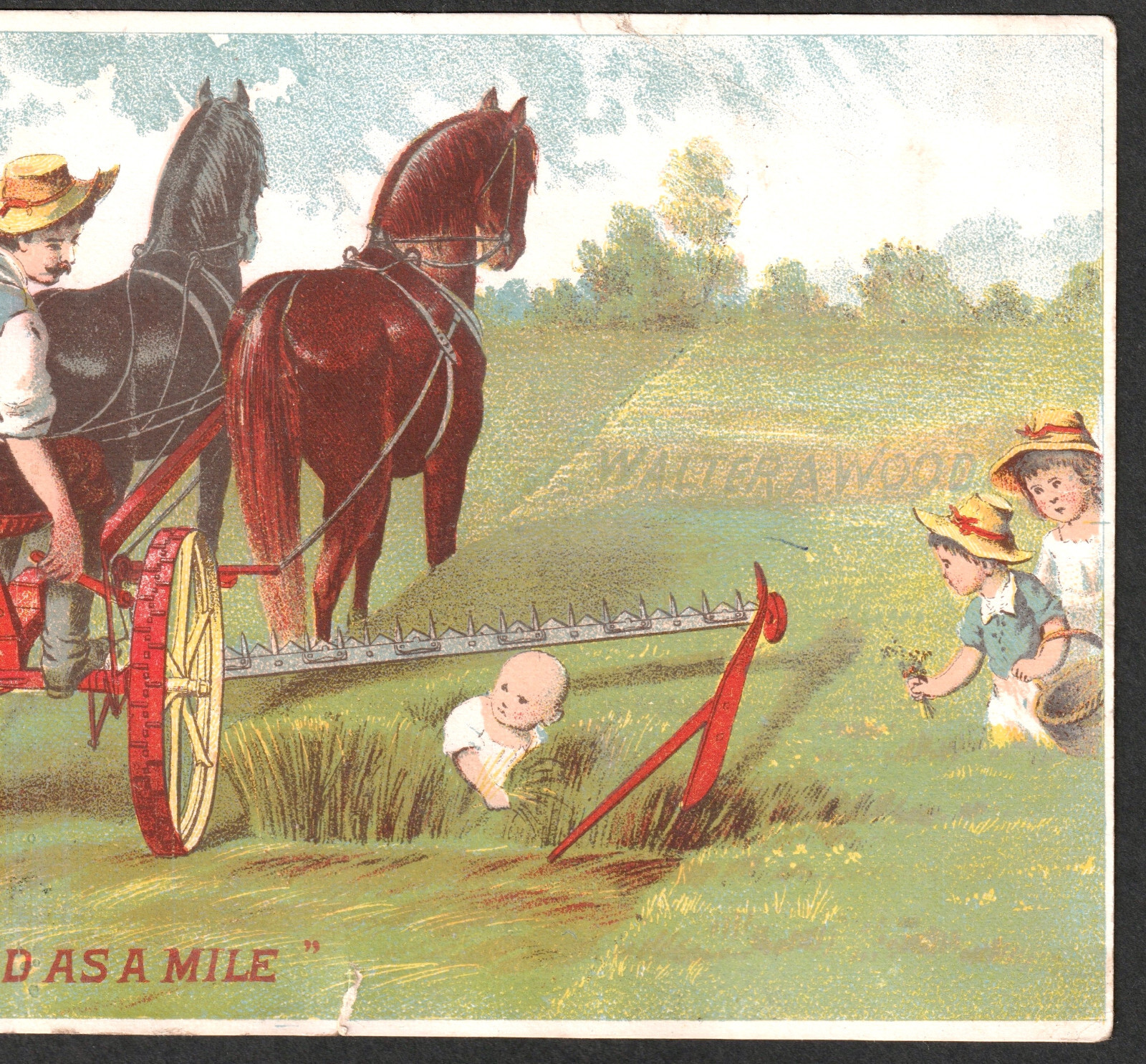 Death Farm Tragedy but Child Saved by Wood Mower Horse Team Victorian Trade Card