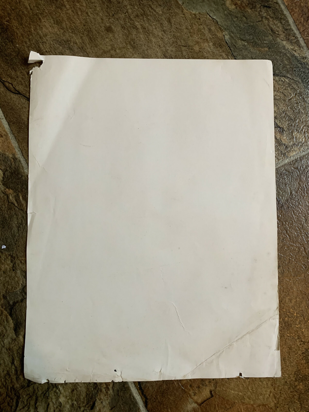 GOULDS DUPLEX PLUNGE ENGINE ONE PAGE Ad 1919 LIST OF PARTS SINGLE PAGE AD FORM
