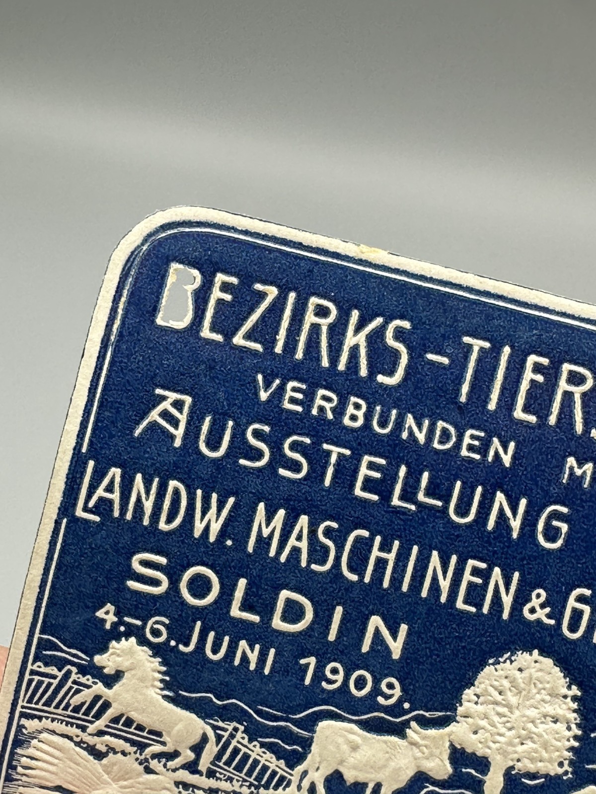 1909 SOLDIN Germany FARM EXPO Agricultural ANIMAL Advertising POSTER STAMP