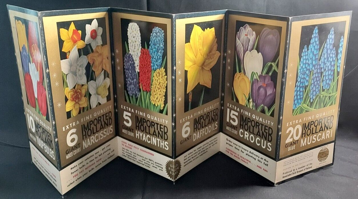 Old Advertising Promotional Folder Associated Bulb Growers Of Holland Tulips