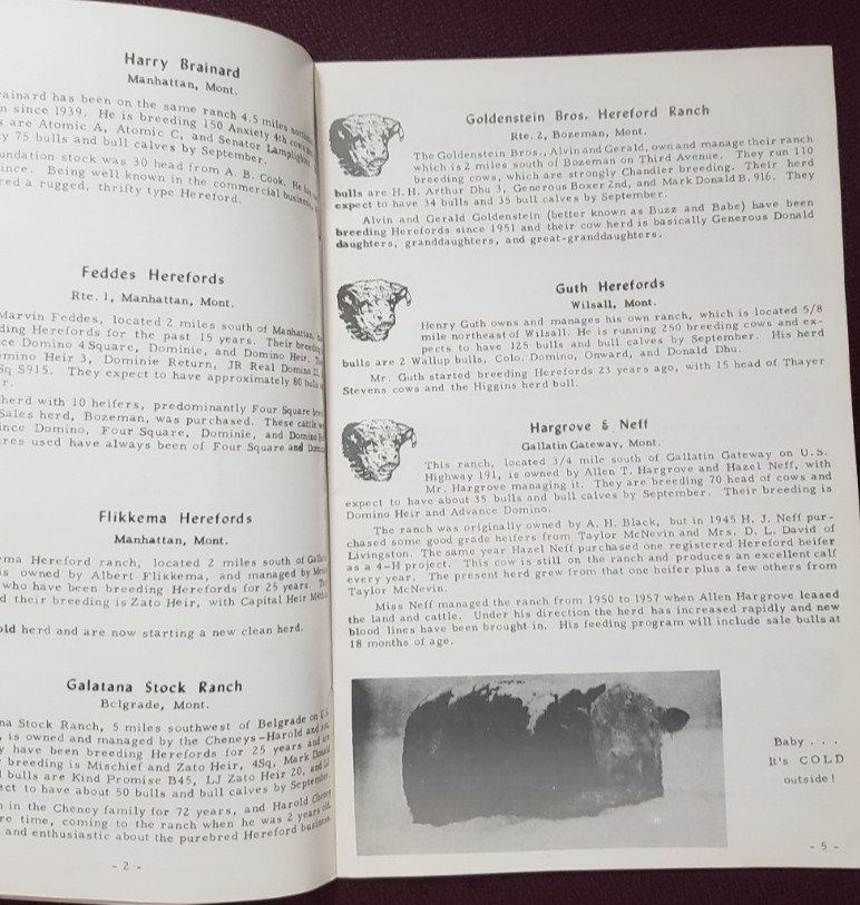 Park Gallatin Hereford Association Cattle Breeding Bozeman MT Booklet 1961
