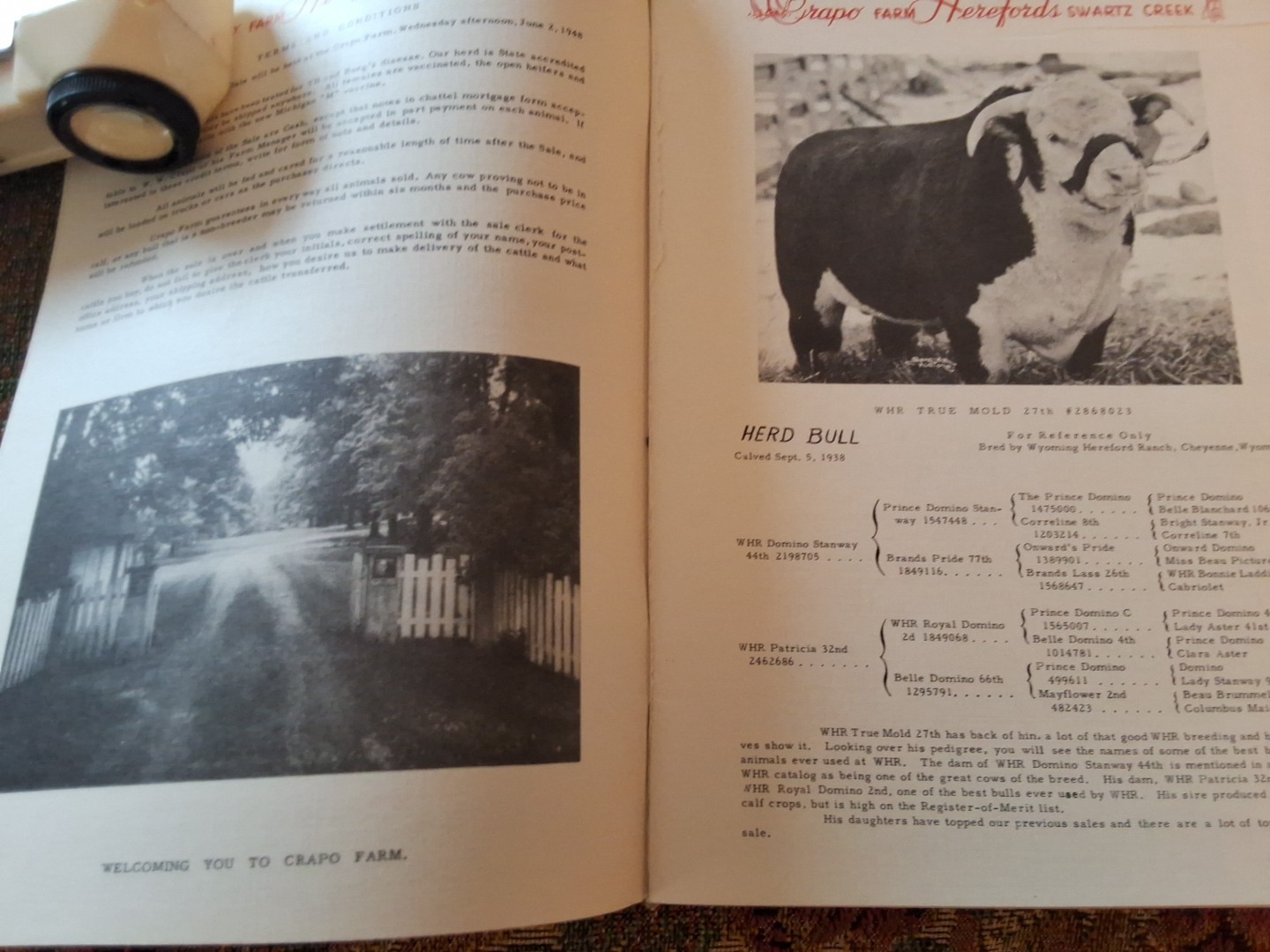 Pair 2 Vintage Crapo Farm Herefords Auction Sale Catalogs Swartz Creek Michigan