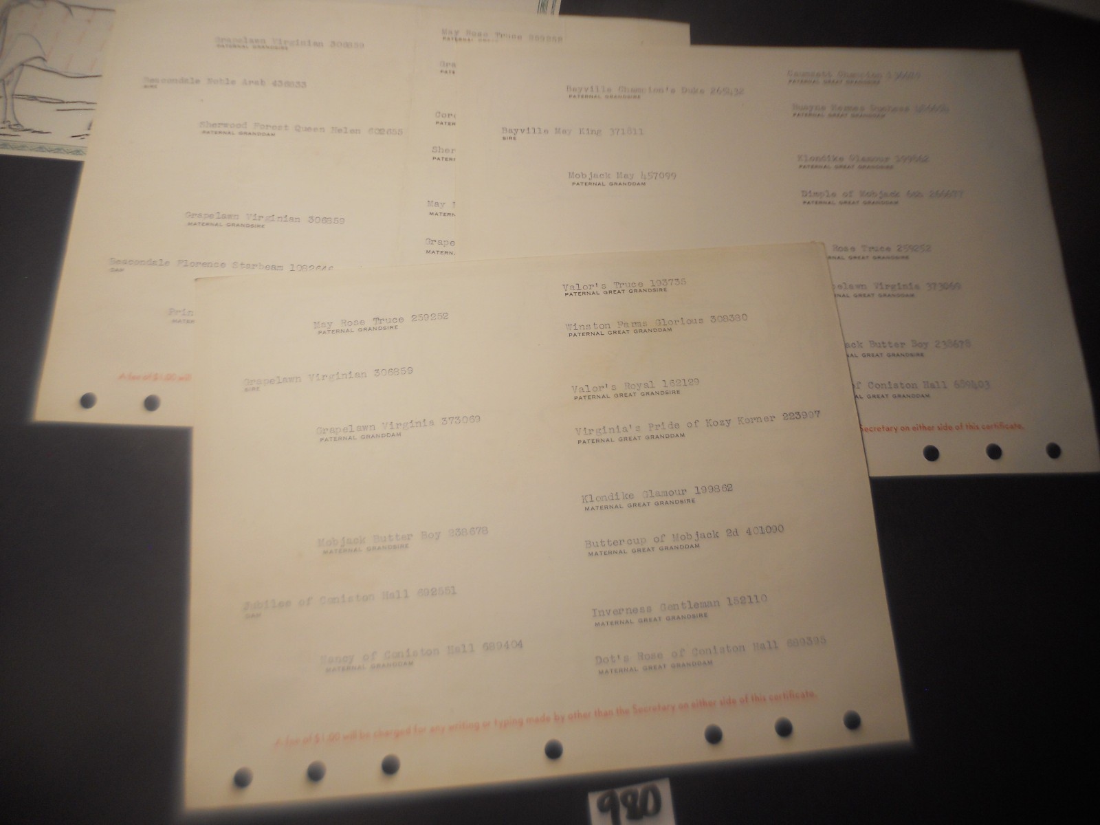 450+ CATTLE CLUB Vintage American GUERNSEY CERTIFICATES BOOKS Newport News VA