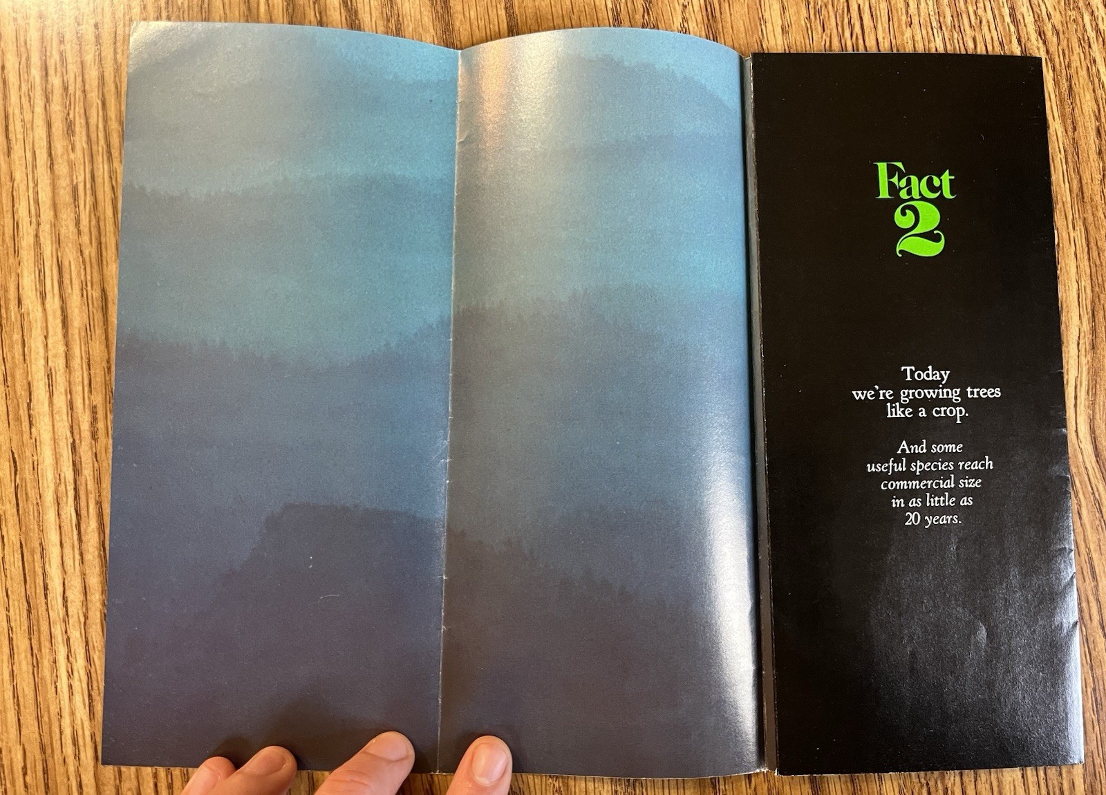 1970s American Forest Institute Vintage Brochure Forest Industry Management