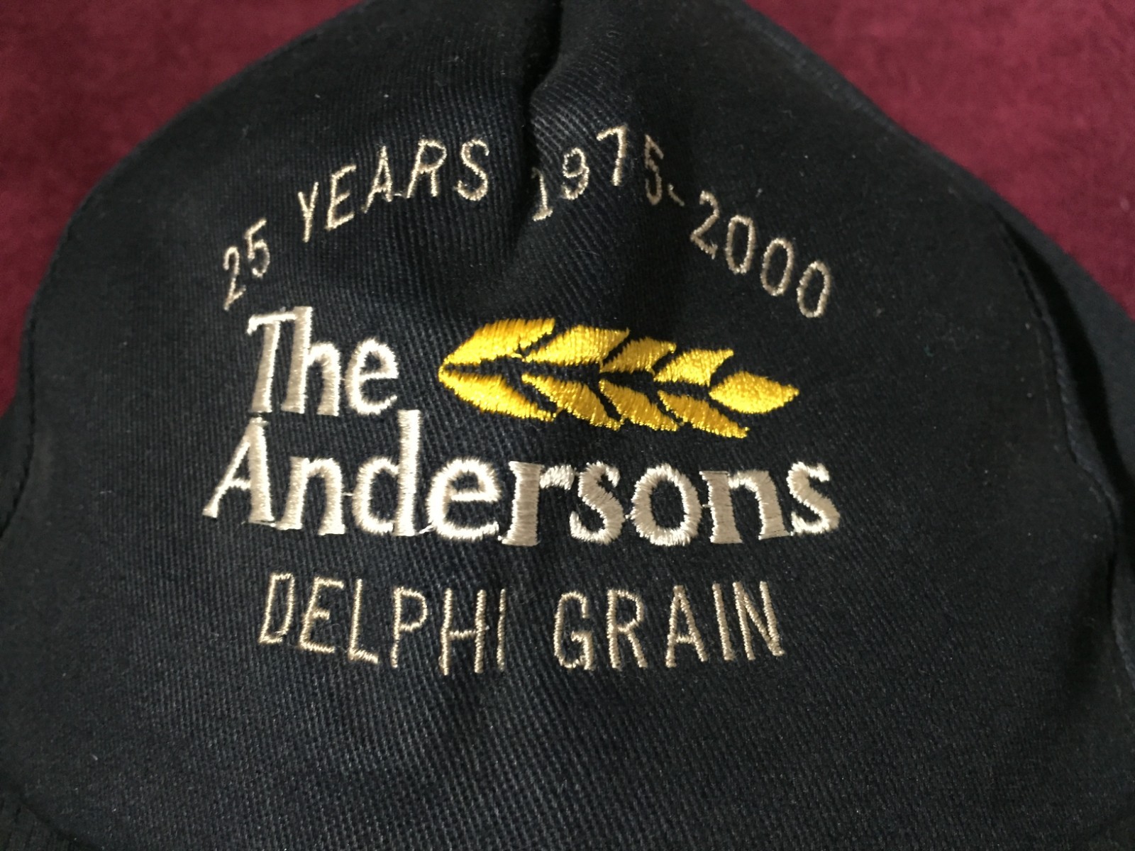 The Andersons Delphi Grain Baseball Hat ~ 1975-2000 Corn Grain Farming Elevators
