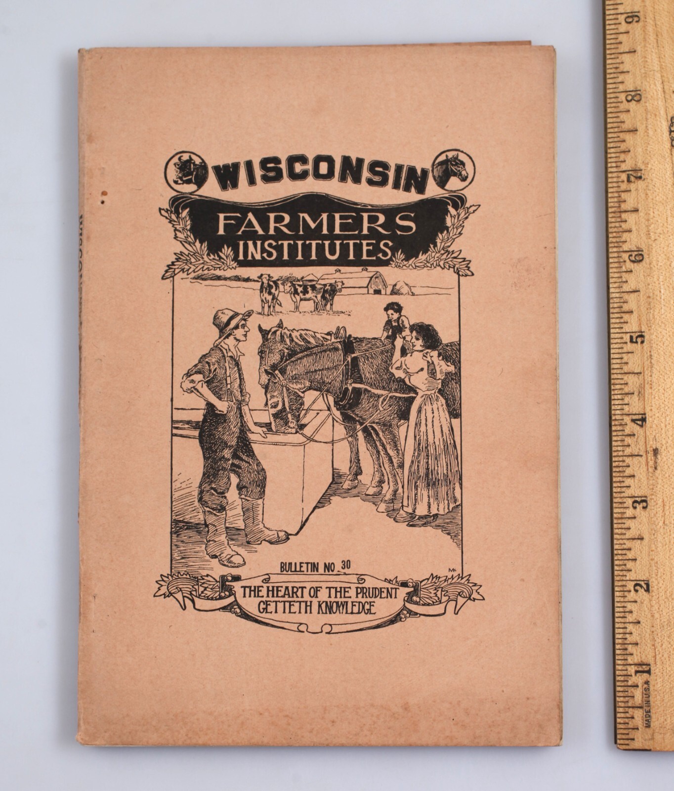 Vintage 1916 Wisconsin Farmer&rsquo;s Institutes Bulletin Handbook of Agriculture