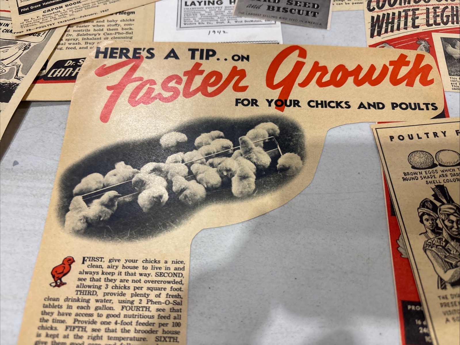 Lot Of 60 Chicken Poultry Egg Related Magazine Print ads 1930-50s