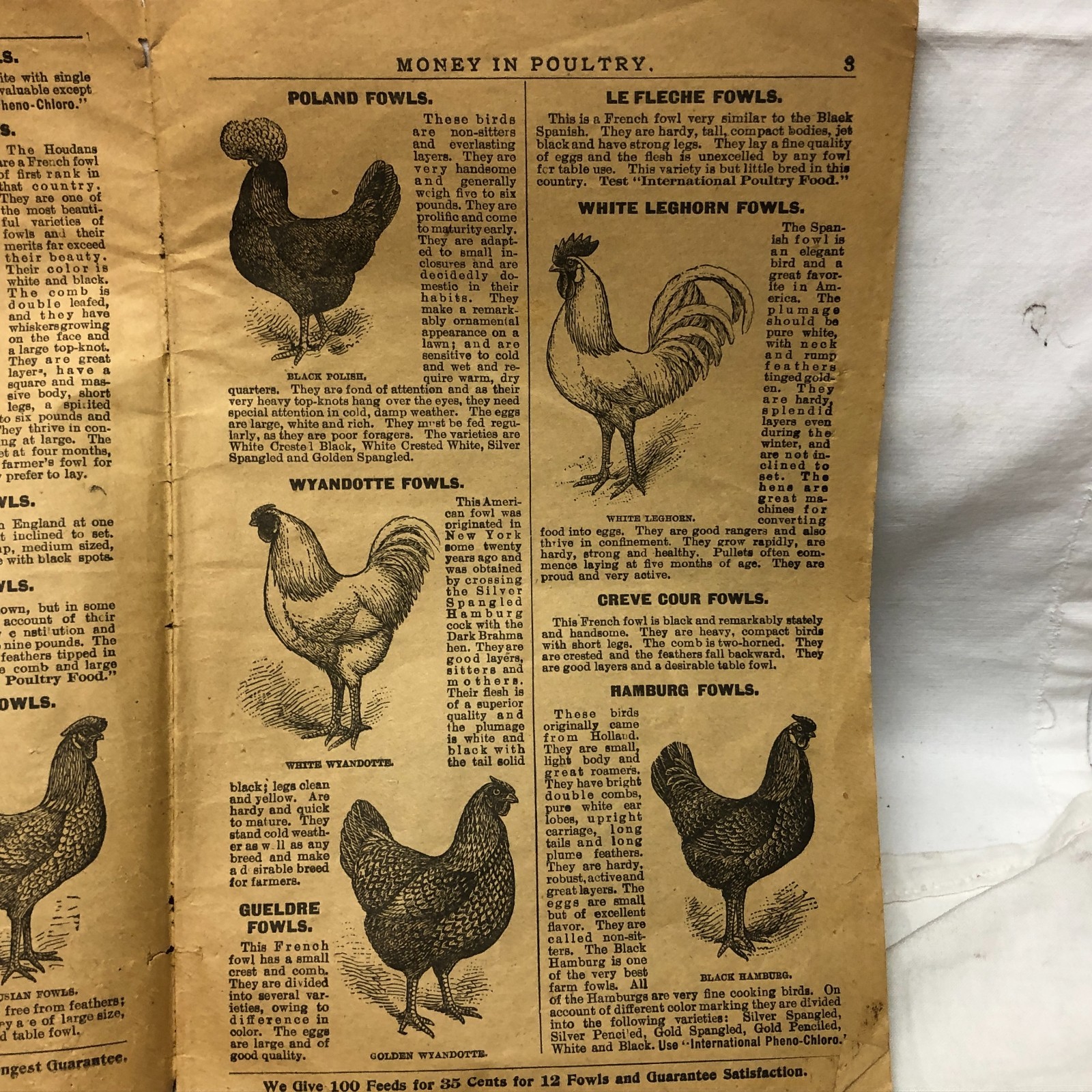 c1900s Money in Poultry Booklet International Poultry Food