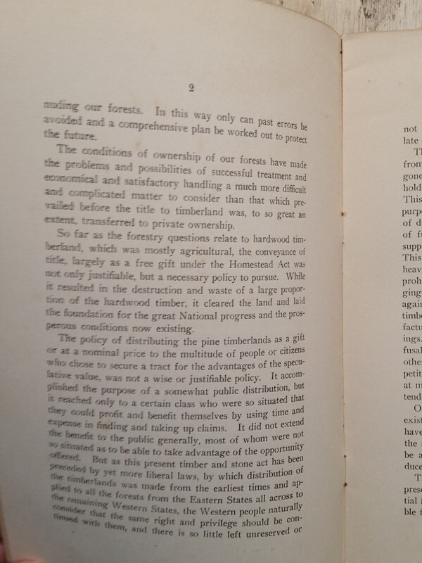 c1900 Forest Conservation by Thomas Barlow TB Walker