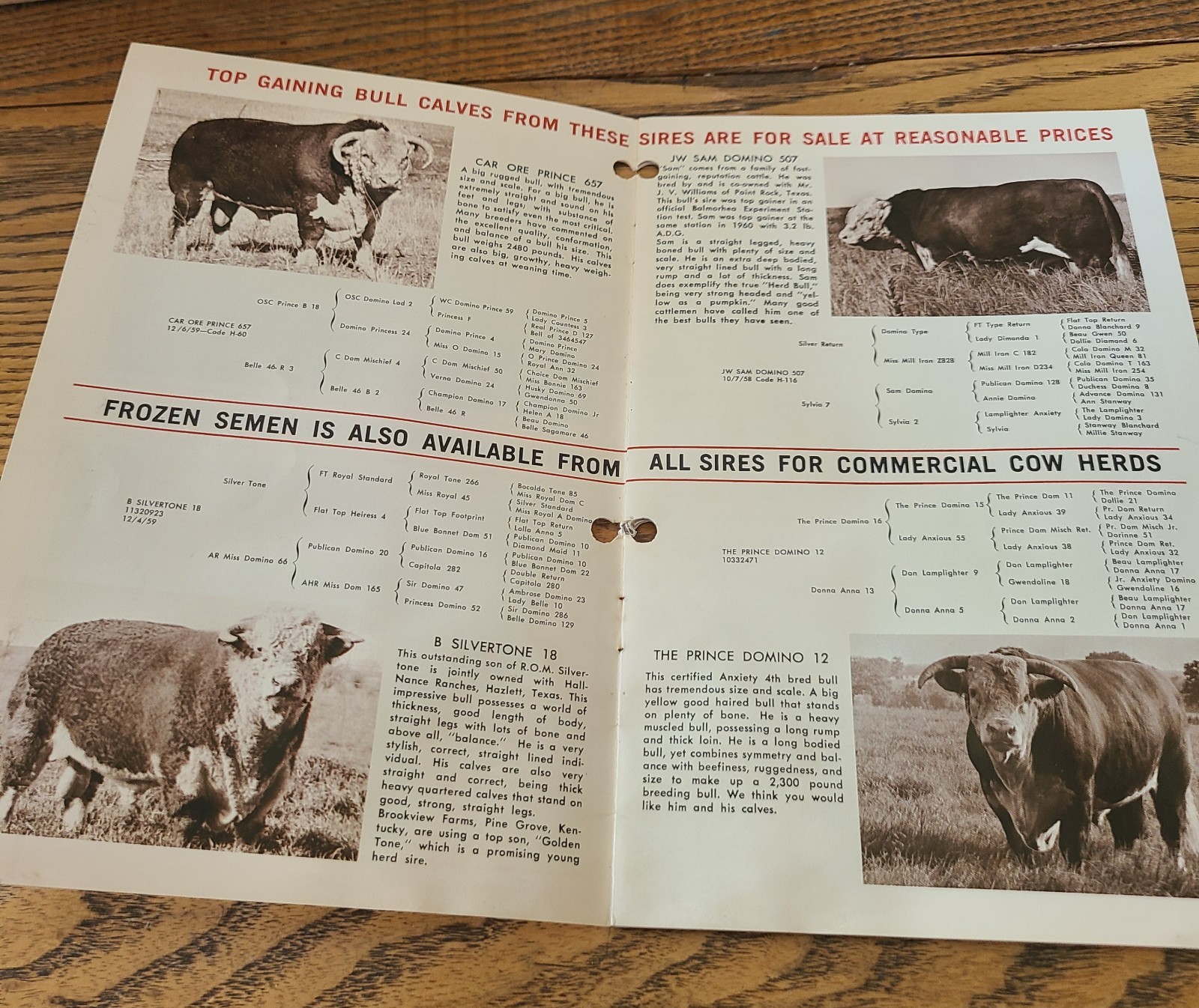 Vintage Noba Cattle Bulls Booklet