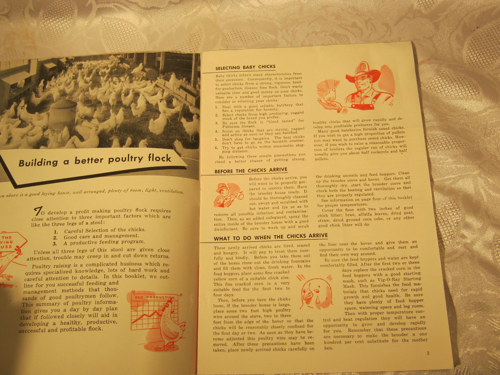 VIG O RAY MURPHY PRODUCTS POULTRY AGRICULTURE FARMING ADV PAMPHLET 11 pages