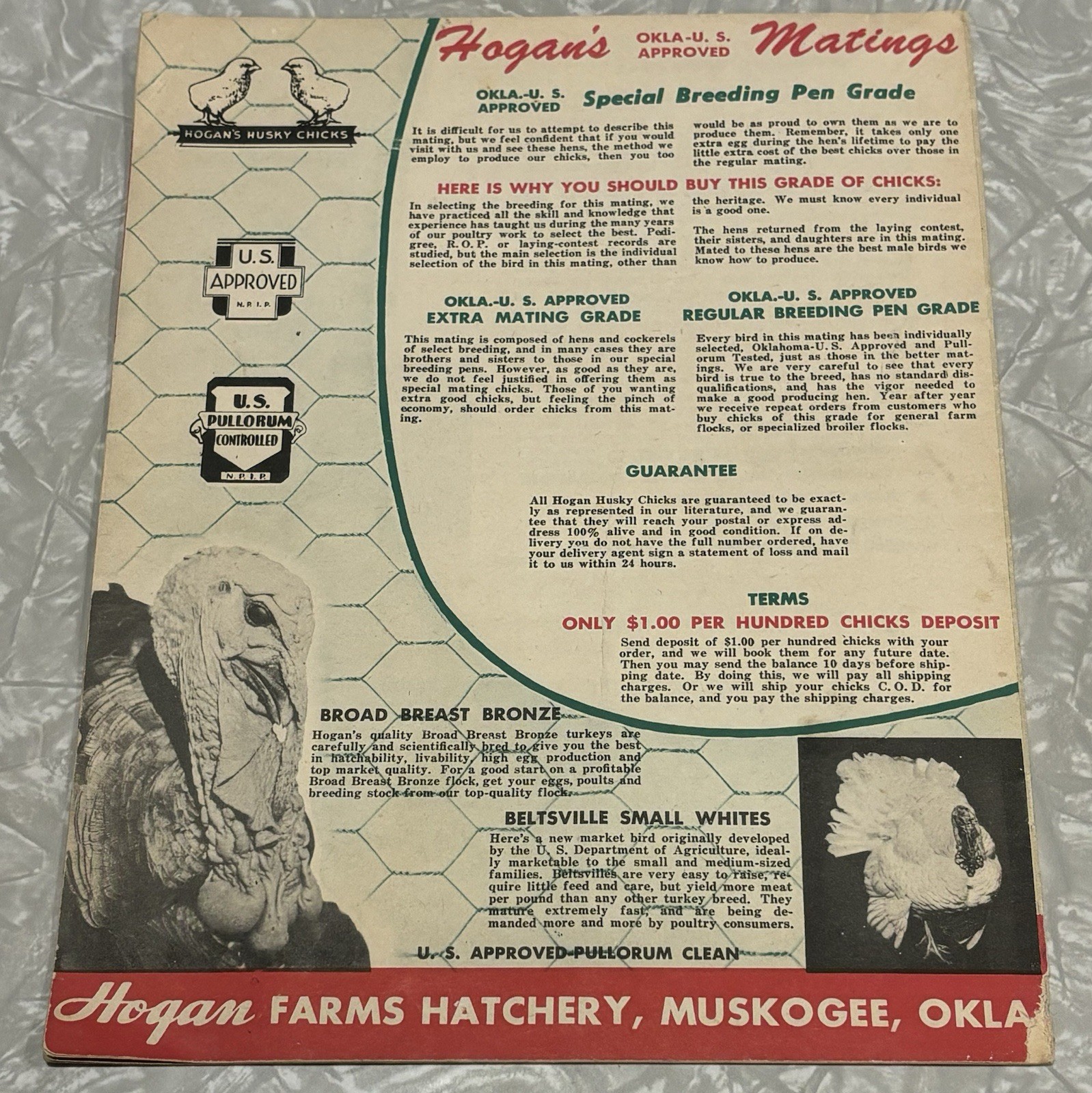Vintage 1949 1950 Hogan Farms Hatchery Muskogee Oklahoma Poultry Chicken Catalog