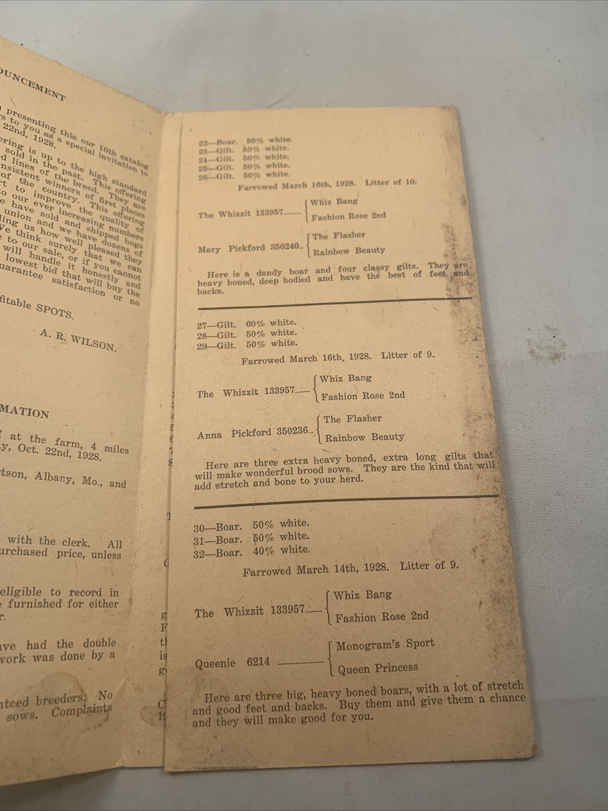 1928 Hog Sale Brochure Wilson’s Prolific Poland China Pig Farm Darlington MO