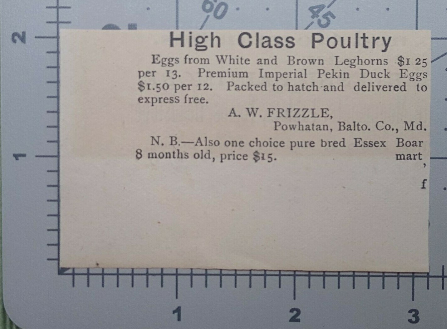 Powhatan Maryland Vtg Print Ad A.W. Frizzle Chicken Breeder Poultry Farming 1881