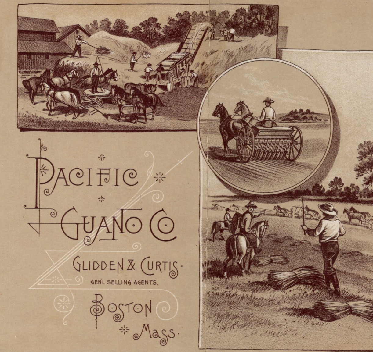 c1900s – Pacific Guano Co Glidden & Curtis Boston Massachusetts Pamphlet – XL4E