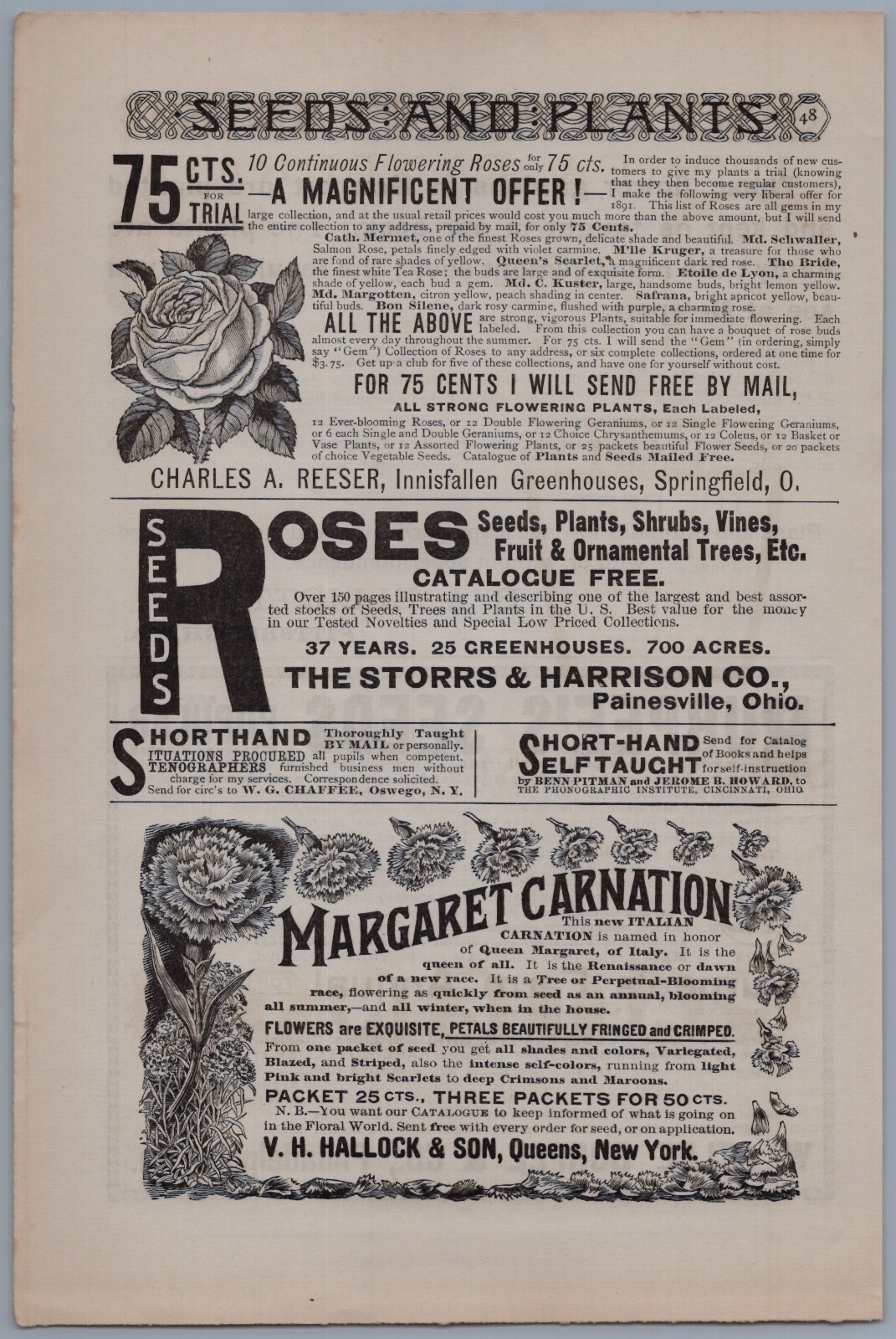 1891 V H Hallock Seed Packets Vintage Ad Margaret Carnation Flowers Gardening