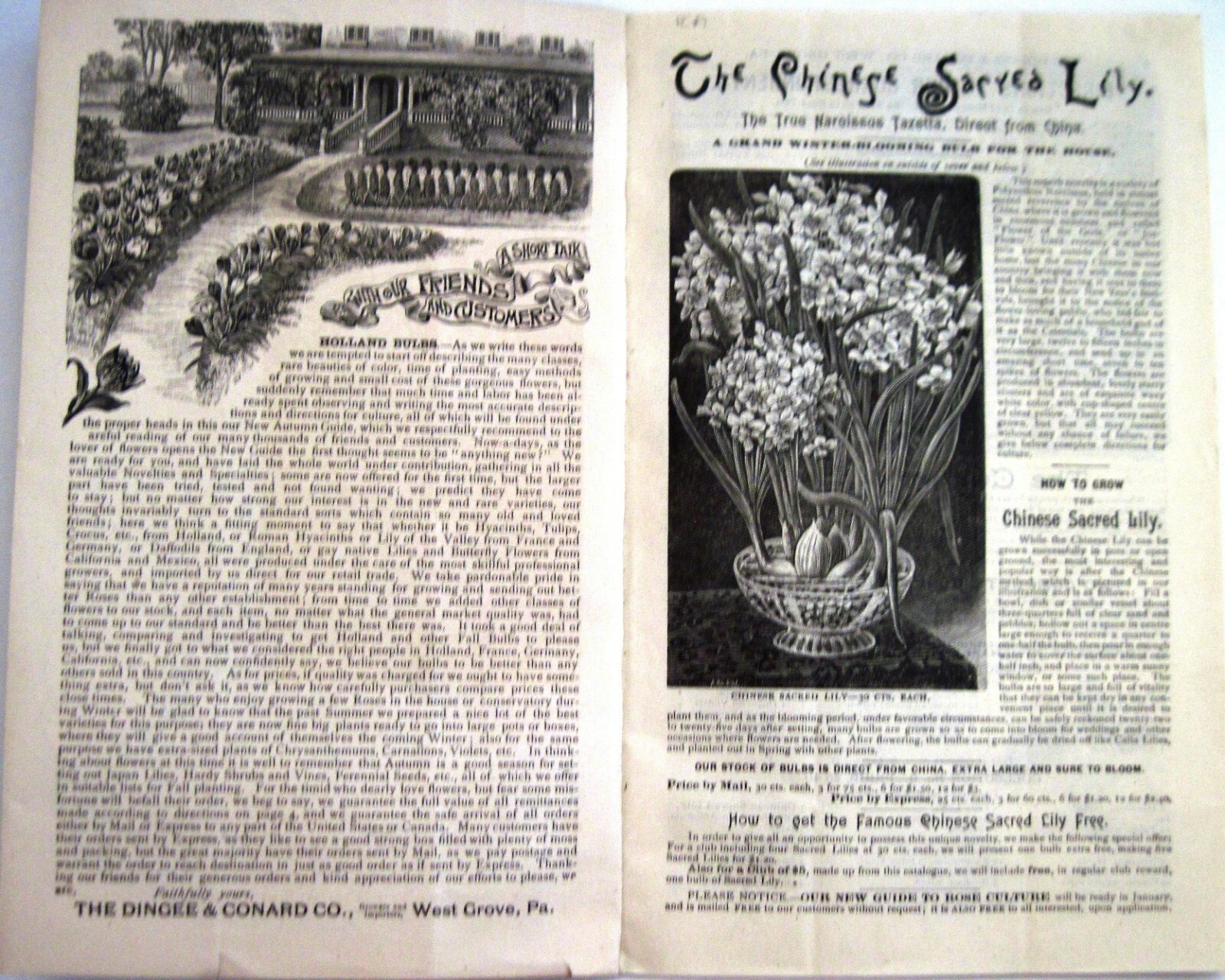 1889 Catalog « New Autumn Guide » for Holland Bulbs, Roses & Lilies & Seeds *