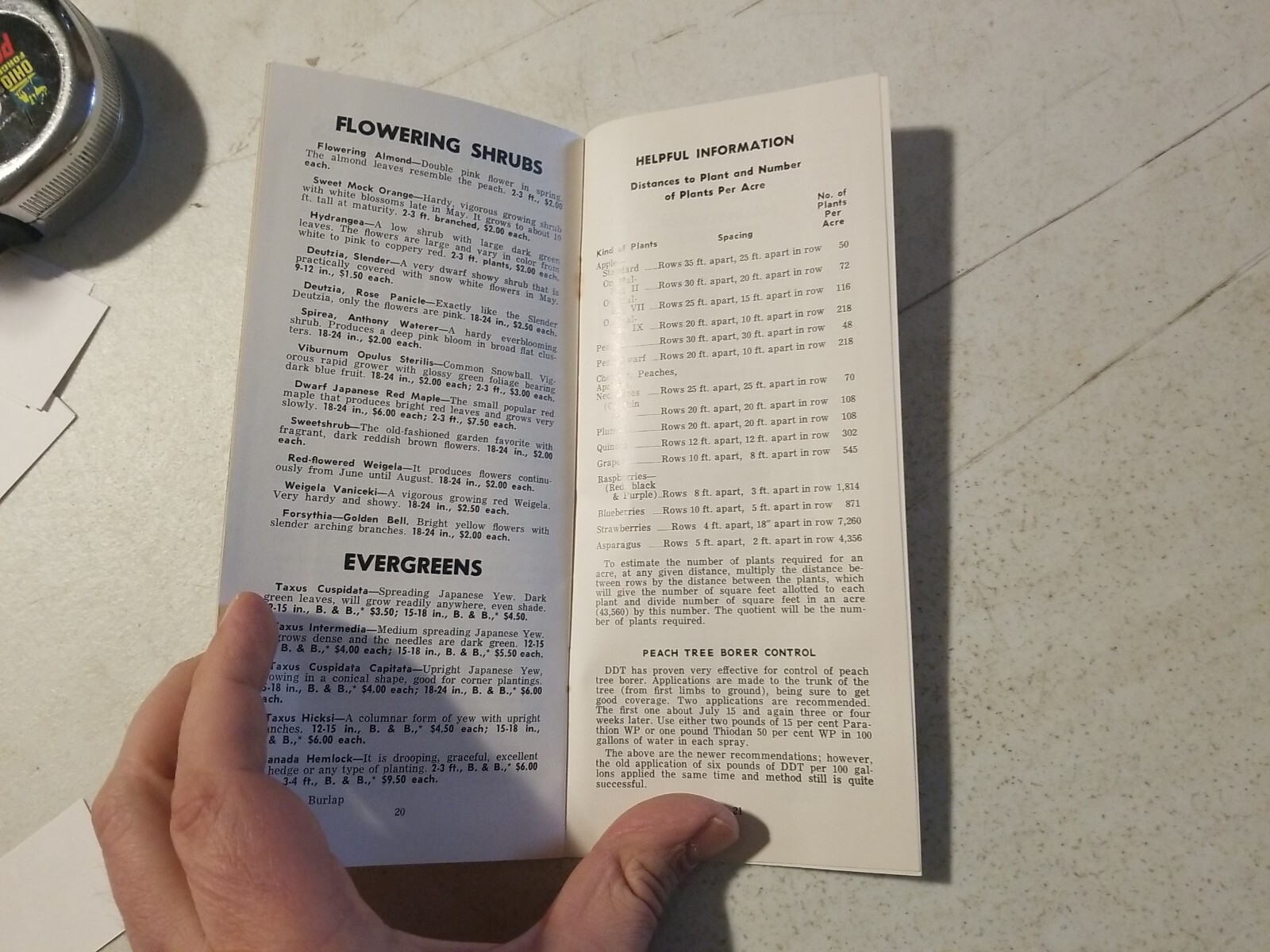 Vintage 1967 Worley&rsquo;s Nurseries Orchard Fruit Trees Brochure. York Springs,PA