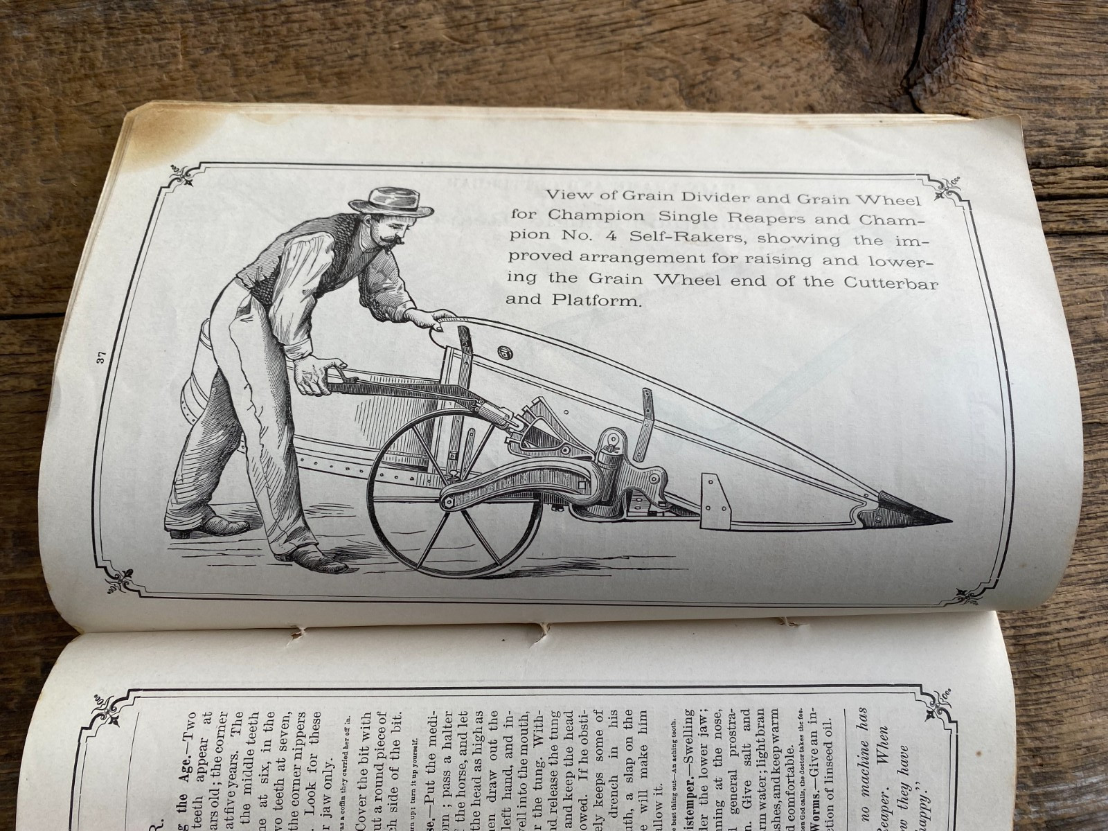ORIGINAL CHAMPION HORSE DRAWN HARVESTING MACHINES HANDBOOK FOR FARMERS 1882