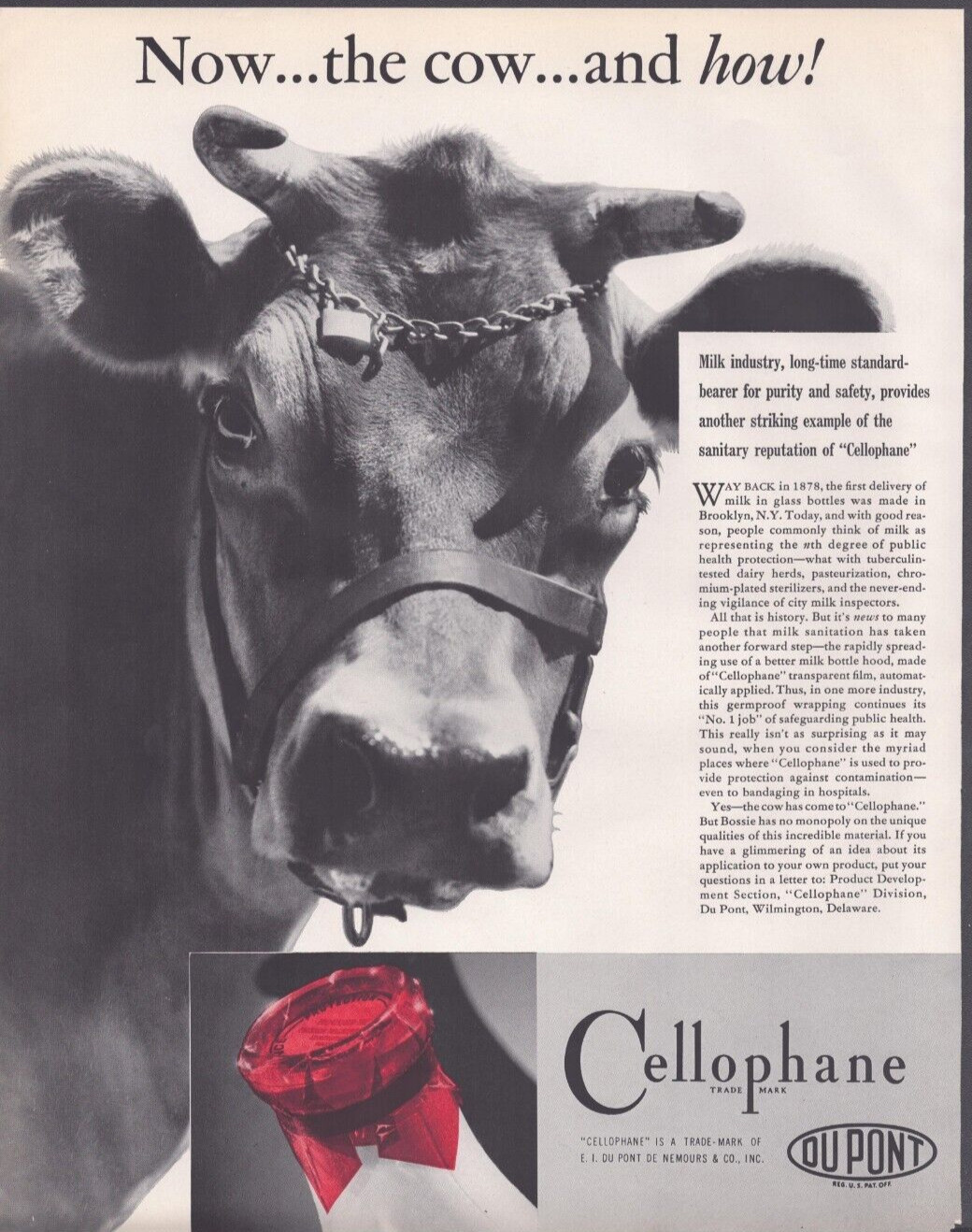 1938 Print Ad Du Pont Cellophane Now…the cow…and how! Milk Industry Sanitary