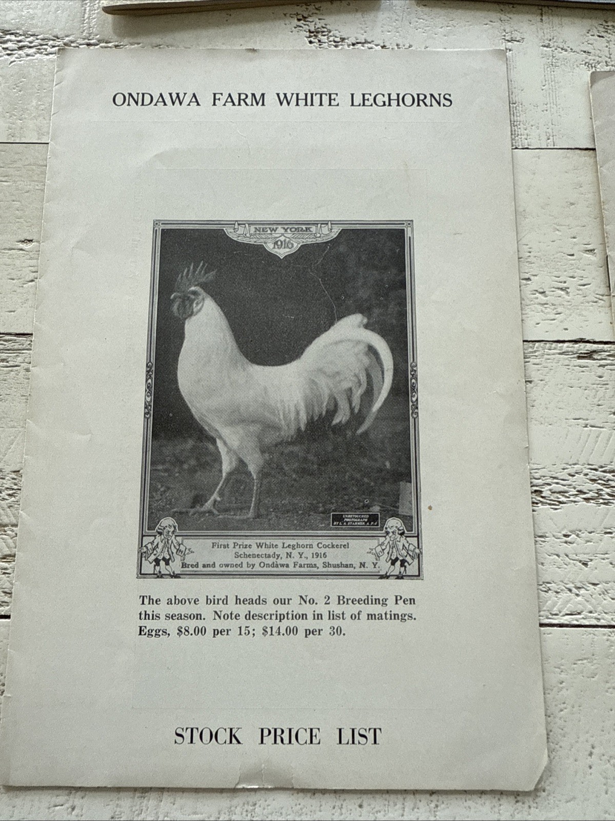 Vintage Farm & Poultry Pamphlet Lot 1940s Fertilizer Dr Hess Chickens Agricultur