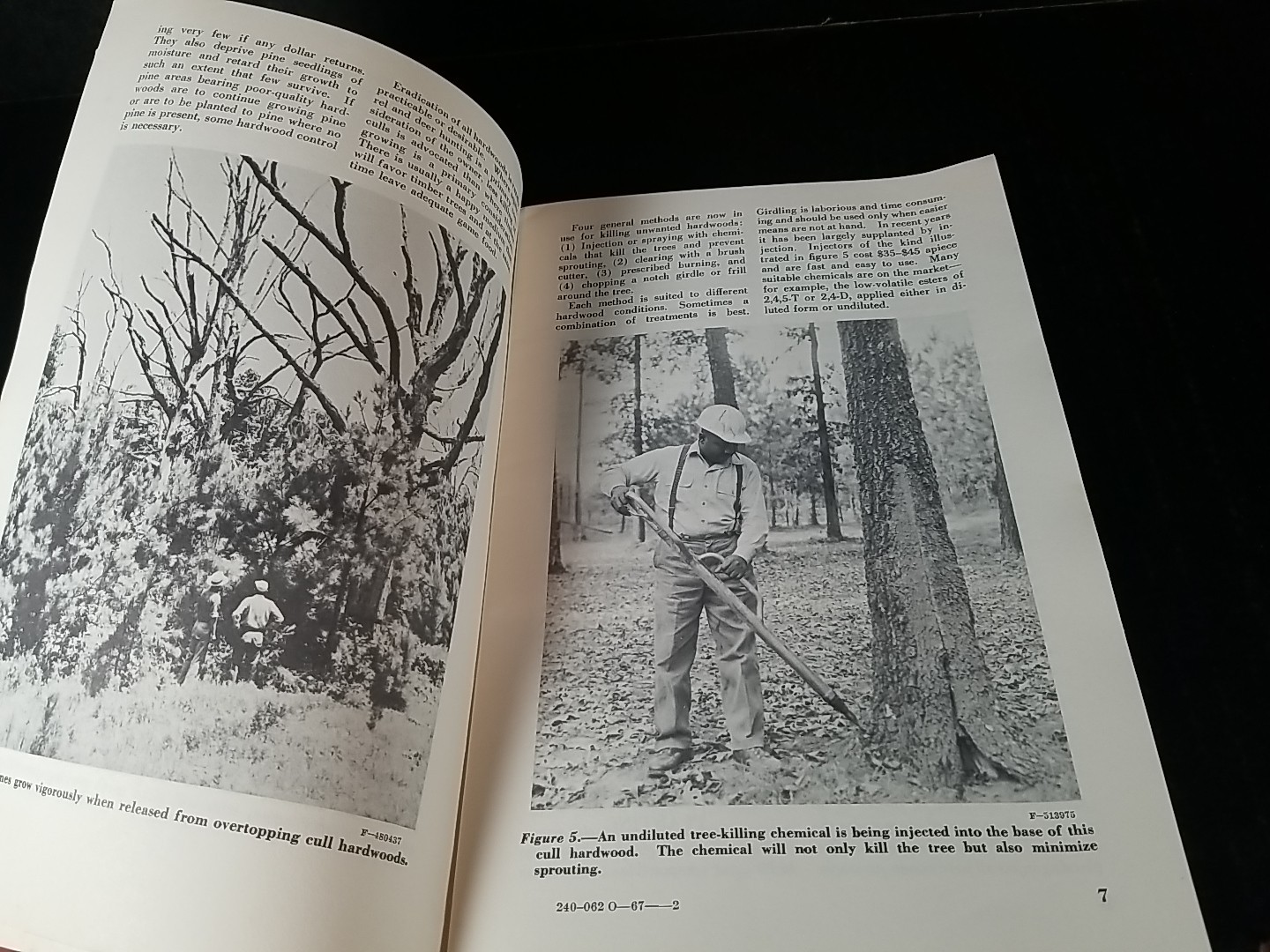 USDA Farmers Bulletin 2102 Loblolly and Shortleaf Pine Trees Vintage Booklet