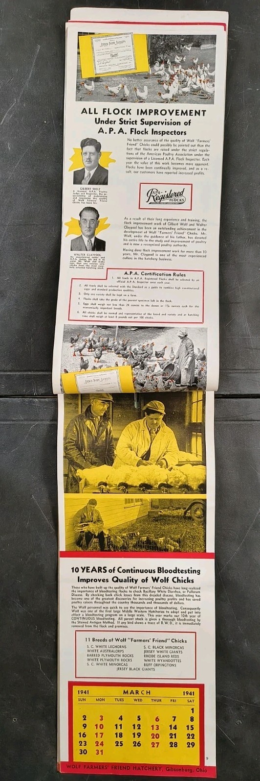 1941 Wolf Baby Chicks Catalog Calendar Sale Brochure Chicken Farming Advertising