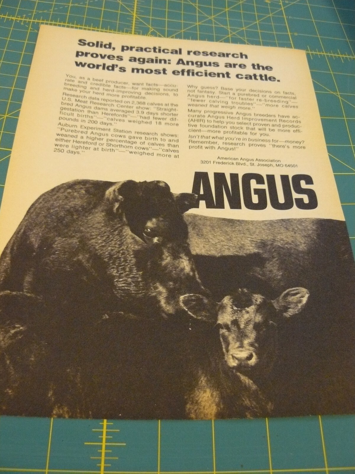 PROGRESSIVE FARMER -JULY 1978-AD- ANGUS: THE WORLDS MOST EFFICIENT CATTLE