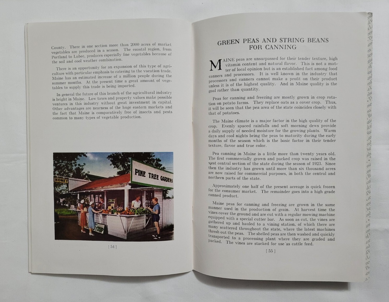 Vintage Maine Agriculture Booklet Cattle Corn Fruit Chickens Farming Ephemera