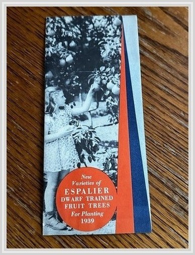 Henry Leuthardt 1939 Espalier Dwarf Fruit Tree Brochure Port Chester NY