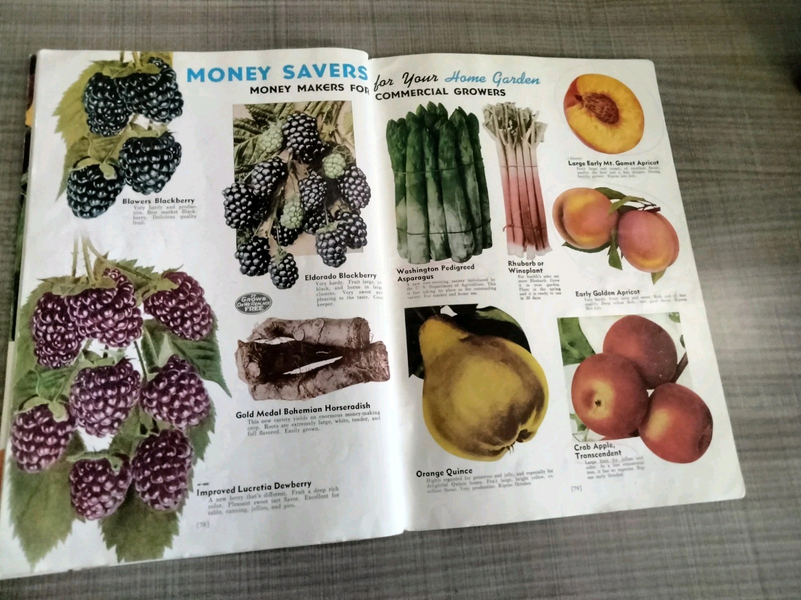 Vtg. 1939 Empire State Nursery Co. Fruits & Flowers Booklet + 2 African Violets