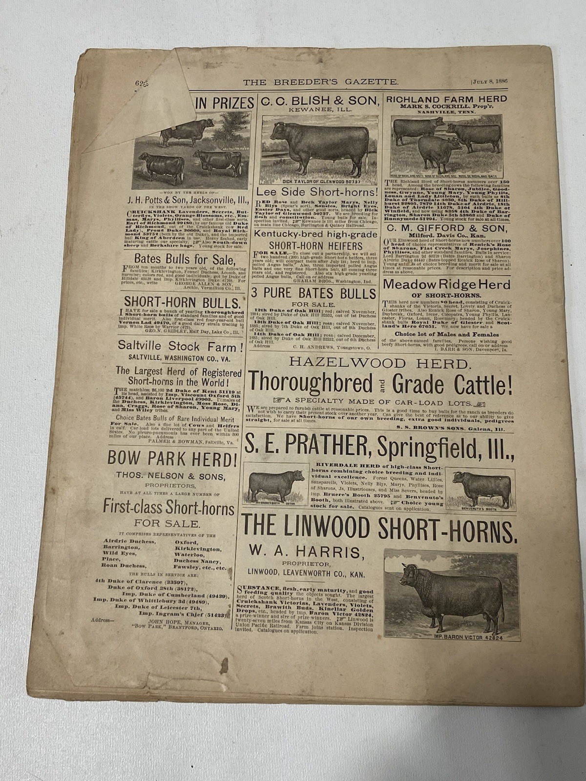 Vtg 1886 July Breeders Gazette Hereford Steer Pigs Cows Horse Advertisements